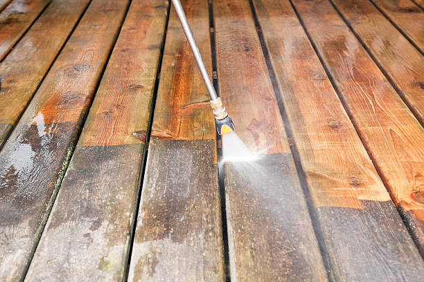 Best Roof Washing  in Woodland, WA